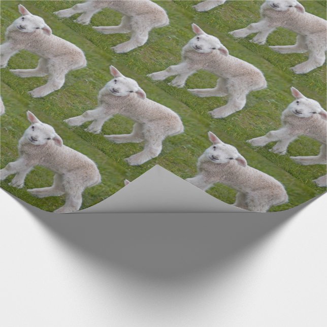 Litet lamm presentpapper (Hörn)
