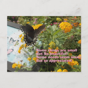 litet men uppskattat Butterfly Card Vykort