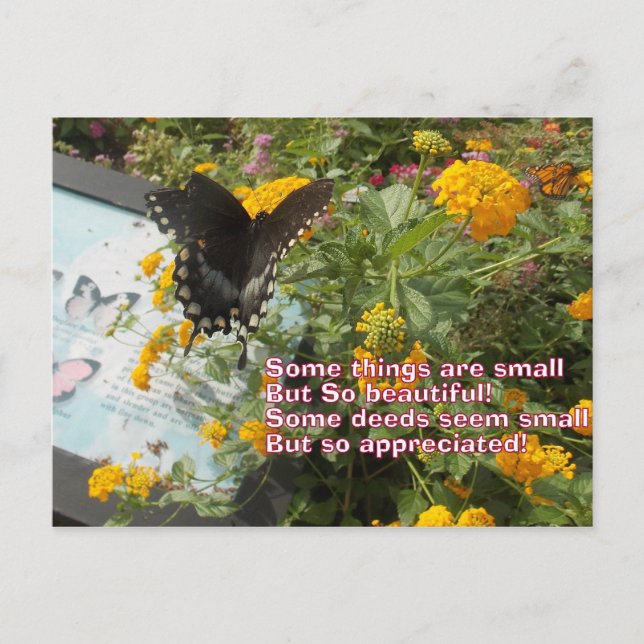 litet men uppskattat Butterfly Card Vykort (Framsida)