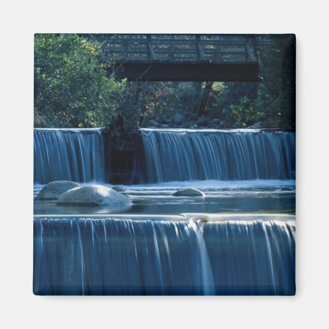 Lithia Park Island, Oregon Magnet (Framsidan)