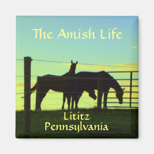 Litiz! Amish Horses vid Sunset. Magnet