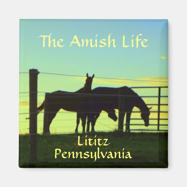 Litiz! Amish Horses vid Sunset. Magnet (Framsidan)