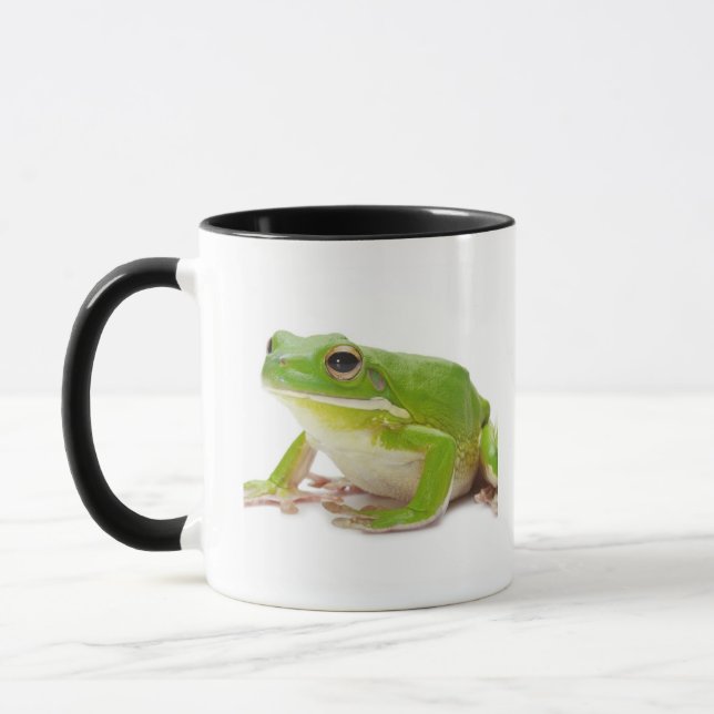 Litora Infrafrenata, groda Mugg (Vänster)