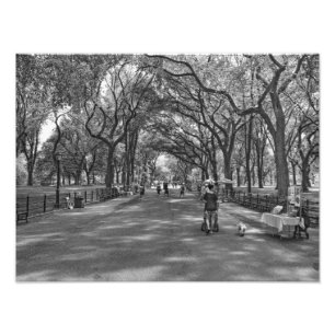 Litterärt Gå Central Park, New York Fototryck