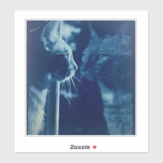 Litteraturfotografi av blå bubba klistermärken