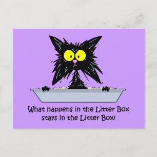 Litterbox Cat Vykort