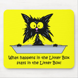 Litterbox katt musmatta