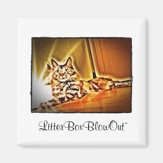 LitterrutaBlowOut Magnet