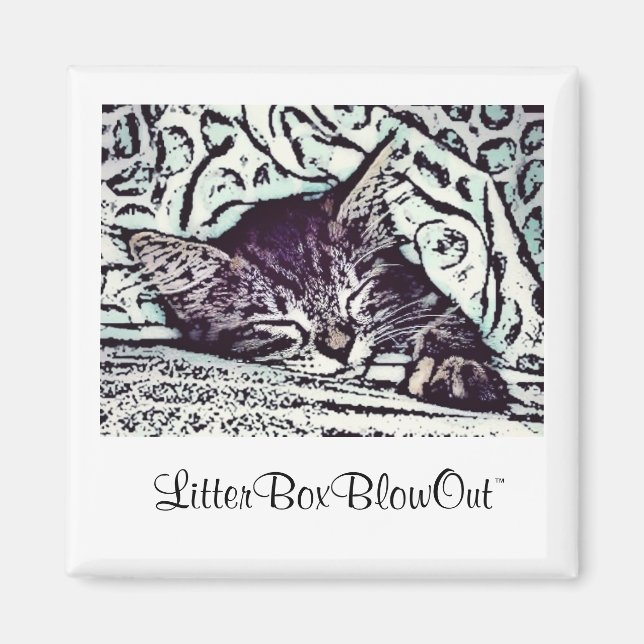LitterrutaBlowOut Magnet (Framsidan)