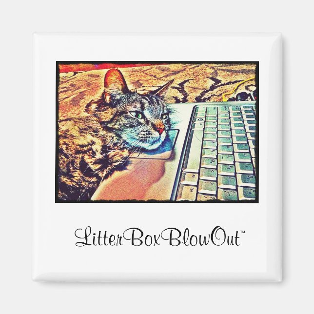 LitterrutaBlowOut Magnet (Framsidan)