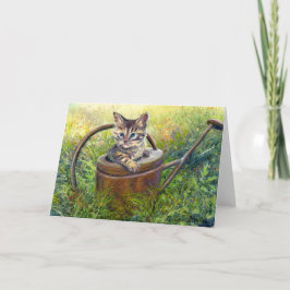 "Little Adventurer" Kort