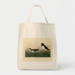 Little Auk (Dovekie) - Audubon's Birds of America Tygkasse