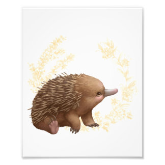 Little Aussie Friends - Echidna Fototryck