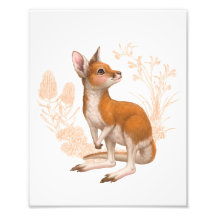 Little Aussie Friends - Kangaroo - Färg