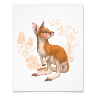 Little Aussie Friends - Kangaroo - Färg Fototryck