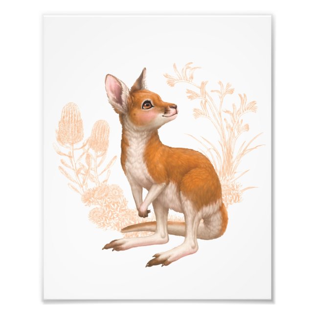 Little Aussie Friends - Kangaroo - Färg Fototryck (Framsidan)