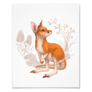 Little Aussie Friends - Kangaroo Fototryck