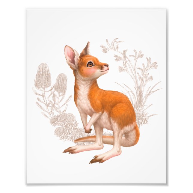 Little Aussie Friends - Kangaroo Fototryck (Framsidan)