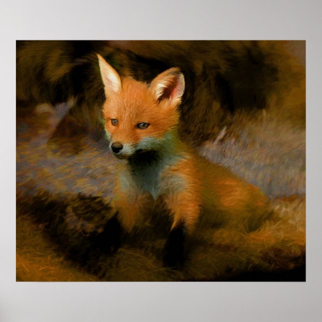 Little Baby Fox Unge Porträtt Poster (Framsidan)