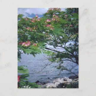 Little Bay Park, Queens, NY Vykort