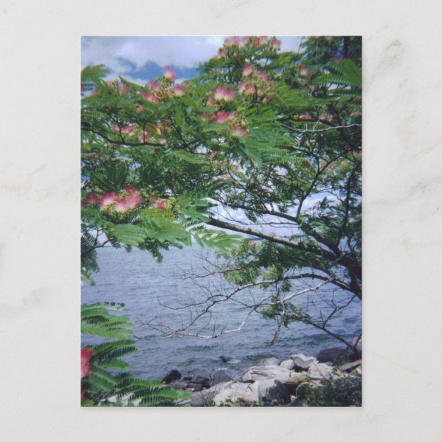 Little Bay Park, Queens, NY Vykort (Framsida)