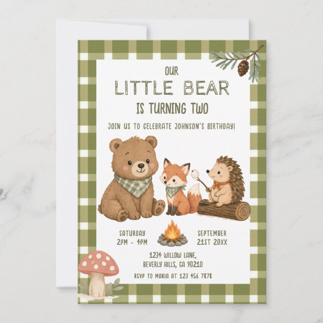 Little Bear Djur Grön Gingham Födelsedag  Inbjudningar (Framsida)