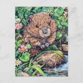 Little Beaver från Bäck Bank Vykort