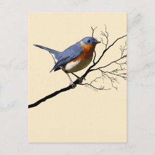 Little Bird Blue Vykort