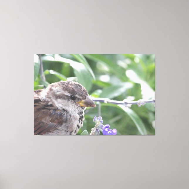 Little Bird Canvas Art (Framsida)
