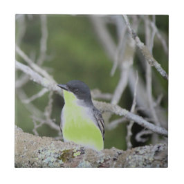 Little Bird Ceramic Tile Kakelplatta