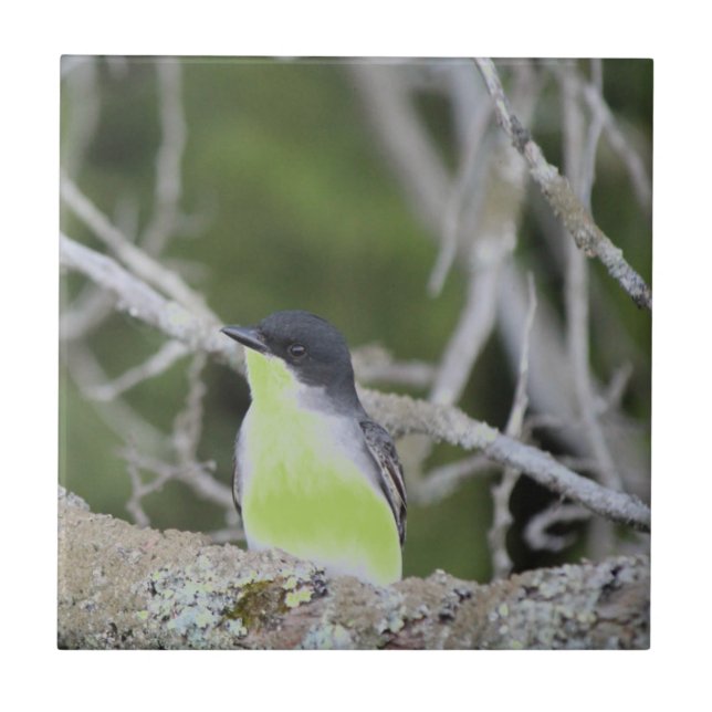 Little Bird Ceramic Tile Kakelplatta (Framsidan)