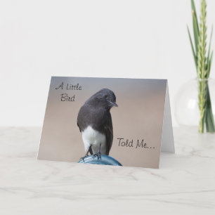 Little Bird Grattis på födelsedagen Card Kort