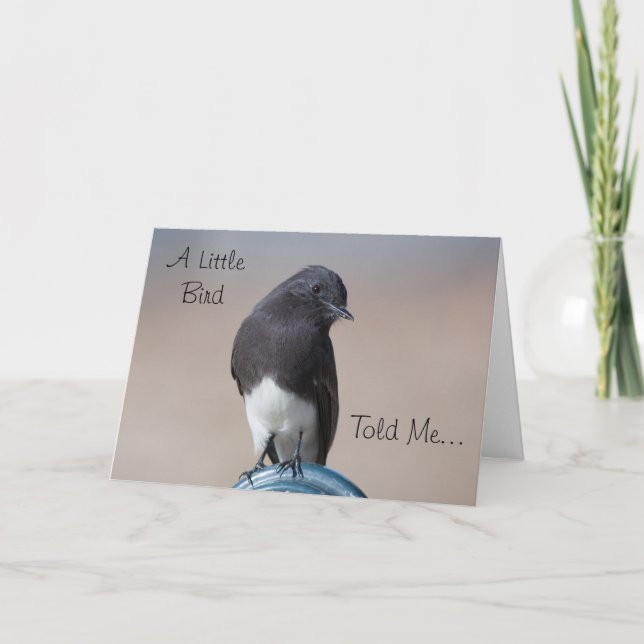 Little Bird Grattis på födelsedagen Card Kort (Framsida)