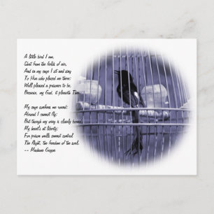 Little Bird in Cage Dikt Vykort