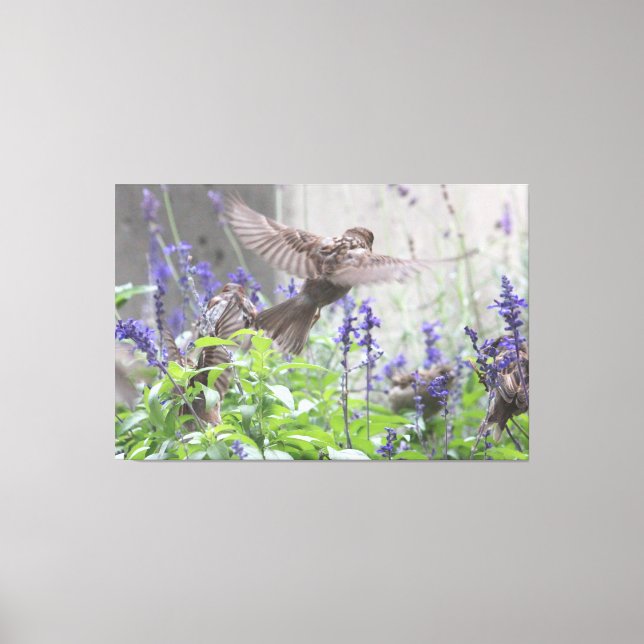 Little Bird in Lavender Canvastryck (Framsida)