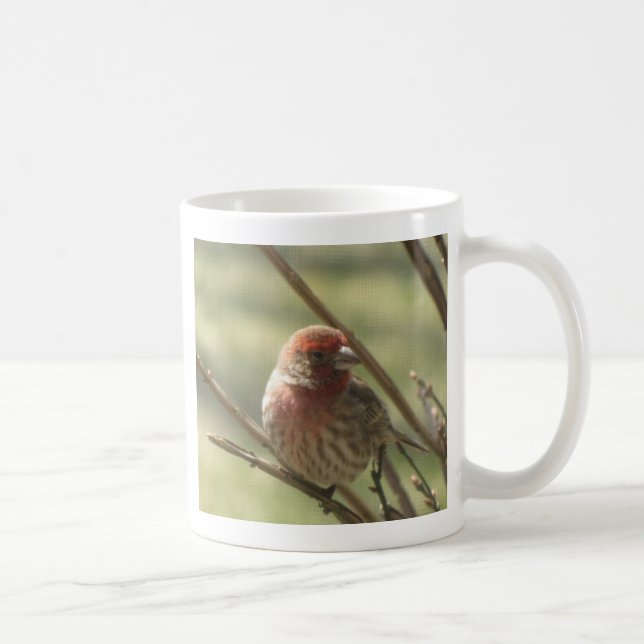 Little Bird på Canvas Kaffemugg (Höger)