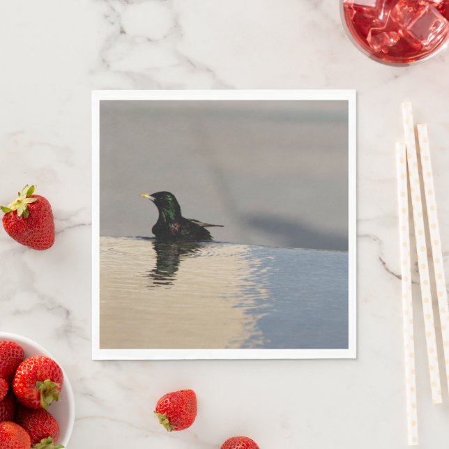 Little Bird Pappersservett (Insitu)