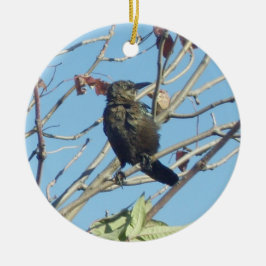 Little Birdie i en Träd Memorial Ornament