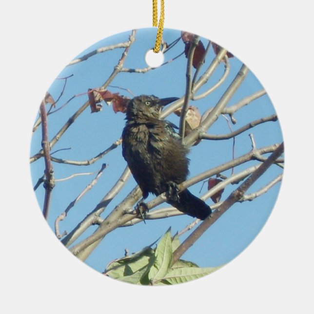 Little Birdie i en Träd Memorial Ornament (Framsidan)