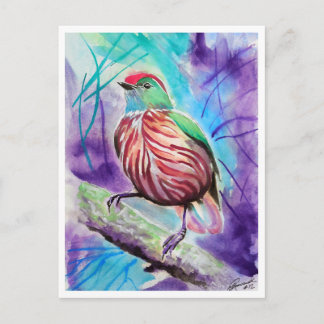 Little Birds #12 Vykort