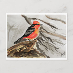 Little Birds #14 Vykort