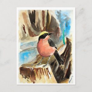 Little Birds #7 Vykort