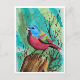 LIttle Birds Series Vykort