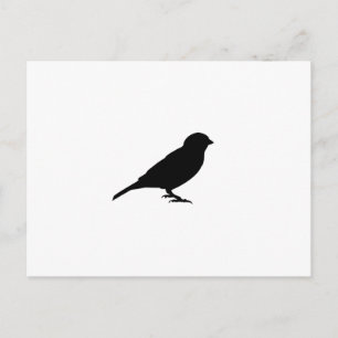 LITTLE BIRDY VYKORT