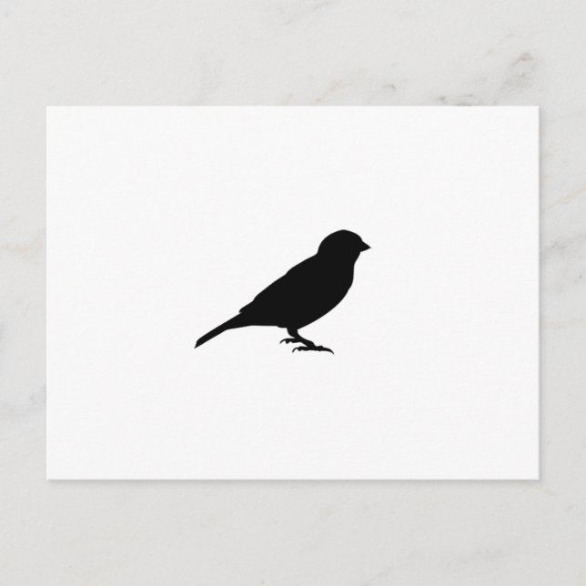 LITTLE BIRDY VYKORT (Framsida)