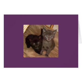 Little Black and Little Grått Hälsningskort