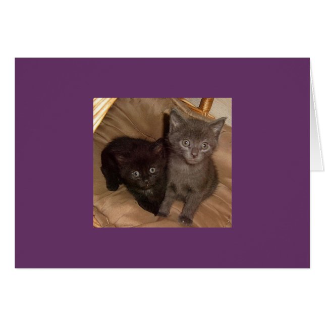 Little Black and Little Grått Hälsningskort (Framsidan Horizontal)