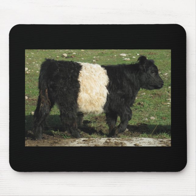 Little Black Beltie Calf Musmatta (Framsidan)