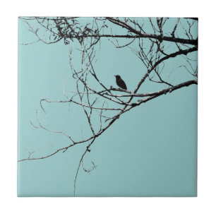 Little Black Bird Tile Kakelplatta