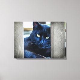 Little Black Kattunge Canvastryck